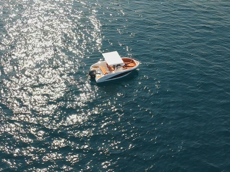 Oki Barracuda bird view